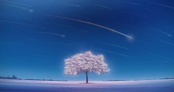 Rule 34 | absurdres, color creation, commentary request, highres, night, night sky, no humans, original, scenery, shooting star, sky, star (sky), starry sky, tree