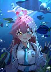 Rule 34 | 1girl, absurdres, against glass, ahoge, black gloves, blue archive, blue eyes, blue necktie, blurry, blush, breasts, bubble, collared shirt, commentary, depth of field, fang, fingerless gloves, fish, gloves, halo, hand up, heterochromia, highres, hoshino (blue archive), kuroliu 9021, long hair, long sleeves, looking at viewer, necktie, open mouth, pink hair, pink halo, shirt, small breasts, solo, symbol-only commentary, upper body, very long hair, white shirt, yellow eyes
