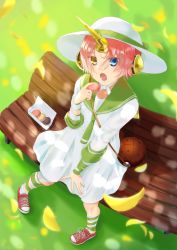 Rule 34 | 1girl, :o, absurdres, bench, blue eyes, box, commentary request, dress, fate/grand order, fate (series), food, frankenstein&#039;s monster (fate), from above, hat, headgear, highres, holding, holding food, horns, looking at viewer, on bench, park bench, petals, pink hair, sailor collar, sailor dress, shoes, short hair, sitting, sneakers, socks, solo, striped clothes, striped socks, sun hat, tsukiyo kapibara, white dress, white hat, yellow eyes