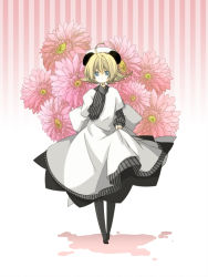 Rule 34 | 1girl, ahoge, animal ears, bad id, bad pixiv id, black pantyhose, blonde hair, blue eyes, di gi charat, dress, finger to own chin, flower, layered dress, panda ears, pantyhose, piyoko, short hair, skirt hold, solo, striped, striped background, tomine, vertical stripes