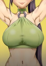 Rule 34 | 1girl, armpits, blush, breasts, crop top, dragon quest, dragon quest xi, gorgonzola (paradisegom), head out of frame, large breasts, lips, martina (dq11), midriff, navel, ponytail, seductive smile, smile