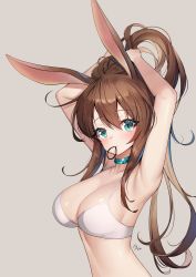 Rule 34 | 1girl, amiya (arknights), animal ears, ankkoyom, arknights, armpits, arms up, bad anatomy, bad id, bad pixiv id, bare arms, bare shoulders, blue eyes, blush, bra, breasts, brown hair, cleavage, commentary, grey background, hair between eyes, hair tie in mouth, highres, jewelry, large breasts, long hair, looking at viewer, mouth hold, neck ring, rabbit ears, sidelocks, simple background, solo, stomach, tying hair, underwear, upper body, white bra