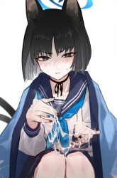 Rule 34 | 1girl, absurdres, animal ears, black hair, blue archive, blue neckerchief, blunt ends, cat ears, cat tail, cum, cum on hands, cum string, disgust, fingernails, halo, haori, highres, japanese clothes, kikyou (blue archive), looking at viewer, maqin, multiple tails, nail polish, neckerchief, school uniform, serafuku, shaded face, short hair, simple background, solo, steam, sweatdrop, tail, white background