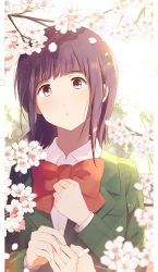 Rule 34 | 1girl, :o, absurdres, blazer, blue hair, blue jacket, blush, bow, bowtie, cherry blossoms, collared shirt, dress shirt, flower, hand up, hibike! euphonium, highres, jacket, liz to aoi tori, long hair, long sleeves, looking at viewer, outstretched hand, parted lips, pink flower, red bow, red bowtie, red eyes, sawara65, school uniform, shirt, solo, tree, white shirt, yoroizuka mizore