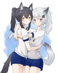 Rule 34 | 2girls, animal ear fluff, animal ears, arknights, black hair, blue background, blue shorts, breasts, brown eyes, closed mouth, commentary request, eyebrows hidden by hair, fang, fang out, grey eyes, grey hair, gym shirt, gym shorts, gym uniform, hair between eyes, highres, lappland (arknights), multiple girls, ponytail, scar, scar across eye, shirt, short shorts, shorts, small breasts, smile, tail, texas (arknights), two-tone background, white background, white shirt, wl217 (nicexa111)