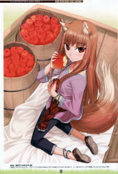 Rule 34 | 1girl, absurdres, animal ears, anklet, apple, barrel, blush, bracelet, brown hair, eating, food, from above, fruit, highres, holding, holding food, holding fruit, holo, jewelry, kneeling, koume keito, long hair, looking up, pouch, red eyes, scan, smile, solo, spice and wolf, tail, wolf ears, wolf tail