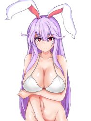 Rule 34 | 1girl, animal ears, bottomless, bra, breasts, rabbit ears, groin, highres, large breasts, light purple hair, long hair, navel, out-of-frame censoring, reisen udongein inaba, simple background, solo, sprout (33510539), touhou, underwear, white background