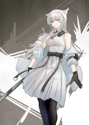 Rule 34 | abstract background, absurdres, animal ears, arknights, arknights: endfield, bare shoulders, belt, black gloves, black legwear, blue eyes, blunt bangs, breasts, cat ears, closed mouth, dress, feet out of frame, gloves, grey dress, grey jacket, highres, holding, jacket, long hair, long sleeves, looking at viewer, medium breasts, naoel (naoel art), open clothes, open jacket, pantyhose, perlica (arknights), silver hair, smile, standing
