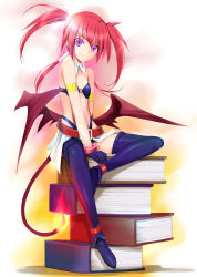 Rule 34 | 1girl, absurdres, agito (nanoha), blue bra, blue thighhighs, book, book stack, bra, burning, demon girl, demon tail, demon wings, highres, long hair, looking at viewer, lyrical nanoha, magical girl, mahou shoujo lyrical nanoha strikers, mikazuki akira!, mini person, minigirl, purple eyes, quad tails, red hair, solo, tail, thighhighs, underwear, wings