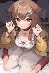 Rule 34 | 1girl, :3, animal ears, blush, bone hair ornament, bracelet, breasts, brown eyes, brown hair, brown nails, character doll, claw pose, cleavage, collar, dog ears, fang, hair ornament, highres, hololive, hoso-inu, inugami korone, inugami korone (1st costume), jacket, jewelry, kurige horse, large breasts, long hair, looking at viewer, medium breasts, nail polish, nekomata okayu, open clothes, open jacket, pillow, sitting, skin fang, solo, virtual youtuber, wariza