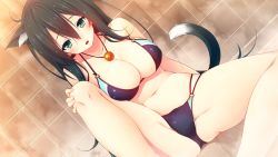 Rule 34 | 1girl, ahoge, animal ears, aristear remain, astronauts, astronauts comet, bare shoulders, bent over, bikini, black hair, blush, breasts, cat ears, cat girl, cat tail, collarbone, female focus, game cg, green eyes, himeno haruka, jewelry, kokusan moyashi, large breasts, long hair, looking at viewer, navel, necklace, open mouth, rozea, sitting, solo, spread legs, swimsuit, tail, wet, wet hair