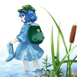 Rule 34 | 1girl, backpack, bag, blue eyes, blue hair, boots, closed mouth, flat cap, green bag, green hat, hair bobbles, hair ornament, hat, herb, kaigen 1025, kawashiro nitori, long sleeves, looking at viewer, looking back, outdoors, partially submerged, reeds, rubber boots, short hair, simple background, solo, touhou, two side up, unworn boots, white background