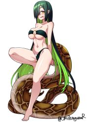 Rule 34 | 1girl, absurdres, artist name, bikini, breasts, brown scales, colored inner hair, forked tongue, full body, green bikini, green hair, hair over one eye, highres, large breasts, long hair, long tail, looking at viewer, mikagura, multicolored hair, o-ring, o-ring bikini, open mouth, original, pointy ears, scales, simple background, slit pupils, smile, snake girl, snake tail, solo, standing, strapless, strapless bikini, swimsuit, tail, tongue, tongue out, twitter username, very long hair, very long tail, white background, yellow eyes