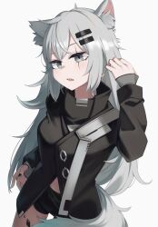 Rule 34 | 1girl, absurdres, animal ear fluff, animal ears, arknights, black coat, black nails, black shorts, coat, cow, cowboy shot, fang, grey eyes, grey hair, highres, hinami047, lappland (arknights), long hair, long sleeves, material growth, nail polish, open mouth, oripathy lesion (arknights), scar, scar across eye, scar on face, short shorts, shorts, simple background, solo, tail, very long hair, white background, wolf ears, wolf girl, wolf tail