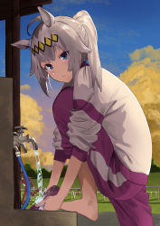 Rule 34 | 3girls, absurdres, animal ears, barefoot, blue eyes, blue sky, brown hair, closed mouth, cloud, commentary request, eyebrows hidden by hair, faucet, grey hair, highres, hira (hinakomochi), horse ears, knee up, looking at viewer, multiple girls, oguri cap (umamusume), pants, ponytail, purple pants, running, shirt, sky, sleeves pushed up, solo focus, sunset, track pants, umamusume, washing, water, white shirt