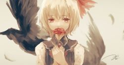 Rule 34 | 1girl, ascot, bird, blonde hair, brooch, flower, hair ribbon, hands on own chest, holding, holding flower, jewelry, kouzuki kei, portrait, red eyes, ribbon, rumia, signature, solo, touhou