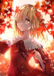 Rule 34 | 1girl, aki shizuha, autumn leaves, backlighting, blonde hair, bow, branch, breasts, buttons, collarbone, collared shirt, hair ornament, hair over one eye, highres, holding, holding leaf, juliet sleeves, leaf, leaf hair ornament, long sleeves, looking at viewer, medium hair, puffy sleeves, red bow, red ribbon, red shirt, ribbon, shironeko yuuki, shirt, small breasts, solo, touhou, upper body, wide sleeves, yellow eyes