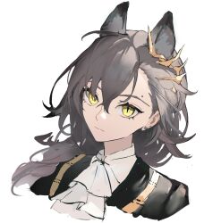 Rule 34 | 1girl, absurdres, animal ears, arknights, ascot, black jacket, cropped torso, dongyue shiyu, earrings, grey hair, hair ornament, highres, jacket, jewelry, long hair, looking at viewer, mole above eye, penance (arknights), shirt, simple background, slit pupils, solo, stud earrings, upswept hair, white ascot, white background, white shirt, wolf ears, wolf girl, yellow eyes