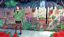 Rule 34 | 1girl, :/, bad id, bad pixiv id, black dress, black hair, branch, cross, cross necklace, dress, fence, flower, full body, grass, hands in pockets, hyacinth, jacket, jewelry, lilac, loafers, looking at viewer, necklace, original, outdoors, pantyhose, pigeon-toed, plant, potted plant, red eyes, red flower, red pantyhose, red rose, rose, sessuimarine, shelf, shoes, short hair, solo, standing, track jacket, water, waterfall, wide shot, wooden fence