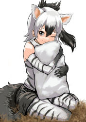 Rule 34 | 1girl, ;), aardwolf (kemono friends), aardwolf print, animal ears, animal print, bare shoulders, black hair, black shorts, closed mouth, cutoffs, elbow gloves, extra ears, furrowed brow, gloves, grey eyes, hair between eyes, hatch (hatch box), high ponytail, holding, holding pillow, hugging object, kemono friends, long hair, looking at viewer, multicolored hair, one eye closed, pantyhose, pantyhose under shorts, parted bangs, pillow, pillow hug, pocket, print gloves, print pantyhose, print shirt, shirt, short shorts, shorts, sidelocks, simple background, sitting, sleeveless, sleeveless shirt, smile, solo, tail, two-tone hair, white background, white hair