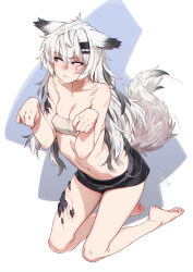 Rule 34 | animal ears, arknights, averting eyes, bare arms, barefoot, belt, black shorts, breasts, closed mouth, collarbone, feet, feguimel, full body, grey eyes, grey hair, hair between eyes, hair ornament, hairclip, highres, kneeling, lappland (arknights), material growth, medium breasts, navel, oripathy lesion (arknights), paw pose, scar, scar across eye, shorts, strapless, tail, tube top, wavy mouth, wolf ears, wolf girl, wolf tail