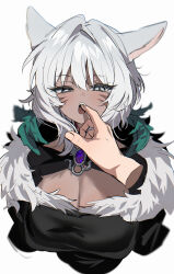 1girl animal_ears biting biting_finger breasts brooch cat_ears churubyjain cleavage cropped_torso disembodied_hand facial_mark fangs feather_hair_ornament feathers final_fantasy final_fantasy_xiv finger_in_another&#039;s_mouth fur_trim hair_ornament half-closed_eyes highres jewelry looking_at_viewer miqo&#039;te open_mouth pov pov_hands saliva short_hair simple_background solo_focus upper_body white_background white_hair y&#039;shtola_rhul