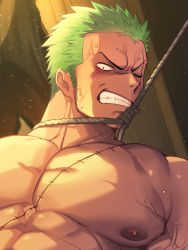 Rule 34 | 1boy, alternate pectoral size, anger vein, bara, blush, cropped, frown, green hair, highres, large pectorals, long sideburns, looking at viewer, male focus, muscular, muscular male, nipples, nude, one piece, pectorals, rope, roronoa zoro, scar, scar across eye, short hair, sideburns, solo, stitches, sweat, veins, veiny arms, waku (ayamix)