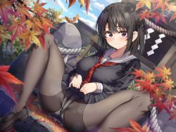 Rule 34 | 1girl, autumn leaves, black footwear, black hair, black pantyhose, black shirt, black skirt, closed mouth, clothes lift, commentary request, day, hair between eyes, highres, knees up, kuria (clear trip second), leaf, lips, loafers, long sleeves, looking at viewer, maple leaf, necktie, original, outdoors, panties, panties under pantyhose, pantyhose, pleated skirt, purple eyes, red necktie, rope, sailor collar, school uniform, serafuku, shimenawa, shirt, shoes, skirt, skirt lift, smile, solo, spread legs, steam, underwear, white sailor collar