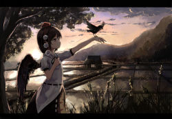 Rule 34 | 1girl, bad id, bad pixiv id, bird, black hair, black skirt, black wings, blouse, cloud, crow, dusk, expressionless, feathered wings, from side, hand up, hat, highres, house, letterboxed, looking up, nature, outdoors, outstretched arm, pointy ears, pom pom (clothes), rice paddy, shameimaru aya, shirt, skirt, solo, tokin hat, torii, touhou, tree, white shirt, wings, yukitourou