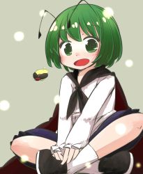 Rule 34 | 1girl, :d, antennae, cape, fireflies, green eyes, green hair, indian style, jagabutter, open mouth, shirt, short hair, simple background, sitting, smile, solo, touhou, wriggle nightbug