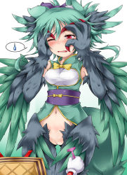 Rule 34 | 1girl, bad id, bad pixiv id, bottomless, cleft of venus, fat mons, feathered wings, framed breasts, green hair, harpy, highres, monster girl, morgan (shinrabanshou), navel, pussy, red eyes, shimo (depthbomb), shinrabanshou, sweat, sweatdrop, talons, tears, uncensored, wince, winged arms, wings
