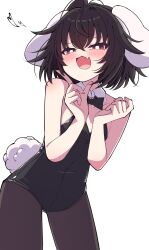 Rule 34 | 1girl, absurdres, animal ears, black hair, black leotard, blush, bright pupils, commentary request, cowboy shot, detached collar, fang, heart, highres, inaba tewi, leaning forward, leotard, looking at viewer, open clothes, rabbit ears, rabbit girl, rabbit tail, red eyes, short hair, simple background, skin fang, solo, tail, touhou, tsukimirin, white background, white pupils