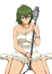 Rule 34 | 00s, 1girl, artist request, breasts, female focus, green hair, highres, ikkitousen, kyocho chuukou, large breasts, solo, tagme