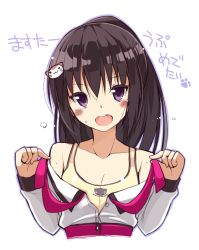 Rule 34 | 1girl, black hair, blush, cat hair ornament, character request, flat chest, hair ornament, highres, long hair, looking at viewer, ohta yuichi, open clothes, open mouth, paw print, ponytail, purple hair, simple background, smile, solo, sports bra, translation request, upper body, white background