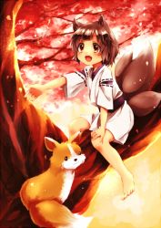 Rule 34 | 1girl, :d, animal, animal ears, bad id, bad nicoseiga id, barefoot, brown eyes, brown hair, fox, fox ears, fox tail, hand on own knee, in tree, japanese clothes, kimono, multiple tails, open mouth, original, ribbon-trimmed sleeves, ribbon trim, shinoko, short hair, short kimono, sitting, sitting in tree, smile, solo, tail, tree