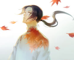 Rule 34 | 1boy, arms at sides, axis powers hetalia, black hair, changpao, china (hetalia), chinese clothes, falling leaves, floating hair, from side, highres, kanmuri (hanyifan30338), leaf, leaf print, long hair, looking at viewer, male focus, maple leaf, motion blur, parted bangs, ponytail, sideways glance, simple background, solo, toggles, upper body, white background, wind, yellow eyes