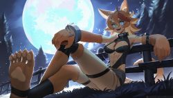 Rule 34 | + +, 1girl, :d, ahoge, animal ear fluff, animal ears, blue eyes, breasts, buffpup (vtuber), claws, collar, commentary, commission, crossed legs, cuffs, english commentary, fantasy, fence, fur, grass, highres, indie virtual youtuber, large breasts, leash, looking at viewer, moon, navel, night, open mouth, orange hair, oversized forearms, oversized limbs, revision, shackles, shorts, sitting, smile, solo, tail, teeth, tostantan, upper teeth only, virtual youtuber, wooden fence