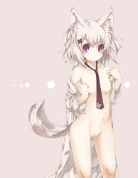 Rule 34 | 1girl, animal ears, arutoria, bad id, bad pixiv id, blush, breasts, dots, navel, necktie, nipples, nude, open clothes, original, red eyes, short hair, simple background, small breasts, solo, tail, uncensored, white hair, wolf ears, wolf tail