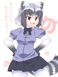 Rule 34 | 10s, 1girl, animal ears, bad id, bad pixiv id, black skirt, bow, bowtie, brown eyes, common raccoon (kemono friends), elbow gloves, fang, fur collar, gloves, hands on own hips, highres, japari symbol, kemono friends, multicolored hair, pantyhose, puffy short sleeves, puffy sleeves, raccoon ears, raccoon tail, short hair, short sleeves, skirt, smile, tail, translation request, uccow, white background, white hair, white pantyhose