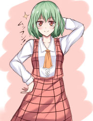 Rule 34 | 1girl, arm behind head, ascot, bad id, bad pixiv id, collarbone, commentary request, green hair, hand on own hip, highres, kazami yuuka, open clothes, open vest, red eyes, shirt, short sleeves, skirt, smile, solo, touhou, vest, wendell
