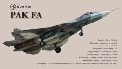 Rule 34 | aircraft, airplane, brown background, english text, jet, no humans, original, pak fa, realistic, russian text, sarokanten, simple background, t-50, vehicle focus