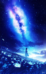 Rule 34 | 1girl, absurdres, backlighting, blue theme, blurry, cloud, commentary, depth of field, dress, english commentary, field, flower, grass, highres, meteor shower, milky way, night, night sky, original, scenery, short hair, signature, sky, skyrick9413, standing, star (sky), starry sky, white flower