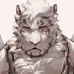 Rule 34 | 1boy, animal ears, arknights, bad id, bad twitter id, black tank top, chain, chain necklace, frown, furry, furry male, hinokumo f, jewelry, looking at viewer, male focus, mountain (arknights), necklace, portrait, scar, scar across eye, scar on face, short hair, solo, tank top, tiger boy, tiger ears, white fur, white hair