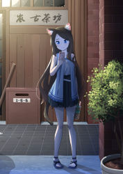 Rule 34 | 1girl, absurdres, animal ear fluff, animal ears, black hair, black skirt, blue eyes, blue shirt, breasts, cat ears, cat tail, cellphone, cleavage, commentary request, feet, full body, highres, long hair, mao lian (nekokao), night, original, outdoors, phone, sandals, shirt, skirt, sleeveless, sleeveless shirt, smartphone, solo, tail, tank top, toes, aina (mao lian), white tank top