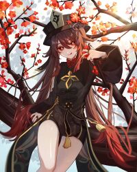 Rule 34 | 1girl, :q, black hat, black nails, black shorts, branch, brown coat, brown hair, coat, coattails, colored tips, flower, flower-shaped pupils, genshin impact, gradient hair, grey background, hair between eyes, hair flaps, hand up, hat, hat flower, hat tassel, highres, holding, holding flower, hu tao (genshin impact), in tree, jewelry, lety4tk, long hair, long sleeves, looking at viewer, mandarin collar, multicolored hair, multiple rings, plum blossoms, porkpie hat, red eyes, red flower, red shirt, ring, shirt, short shorts, shorts, sidelocks, sitting, sitting in tree, solo, symbol-shaped pupils, tassel, thighs, tongue, tongue out, tree, twintails, very long hair