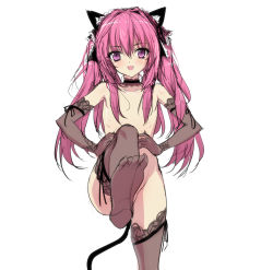 Rule 34 | 1girl, animal ears, black thighhighs, cat ears, cat tail, elbow gloves, fang, feet, flat chest, foot focus, gloves, hair censor, hair over breasts, lace, lace-trimmed gloves, lace-trimmed legwear, lace trim, long hair, looking at viewer, making-of available, no shoes, nude, original, pink eyes, pink hair, q azieru, see-through, simple background, sketch, smile, soles, solo, tail, thighhighs, toes, twintails, white background