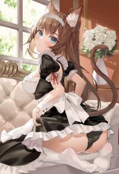 Rule 34 | 1girl, animal ear fluff, animal ears, apron, ass, black dress, black panties, blunt bangs, blush, breasts, cat ears, cat girl, cat tail, closed mouth, clothes lift, couch, cropped, day, dress, dress lift, flower, frilled apron, frills, from behind, highres, indoors, lace, lace-trimmed panties, lace trim, leaf, lifting own clothes, long hair, looking at viewer, maid, maid apron, maid headdress, melonbooks, on couch, original, panties, plant, potted plant, puffy short sleeves, puffy sleeves, rose, sg (satoumogumogu), short hair, short sleeves, sidelocks, sitting, soles, solo, tail, tail raised, thighhighs, thighs, toes, underwear, very long hair, waist apron, wariza, white apron, white flower, white rose, window, wrist cuffs