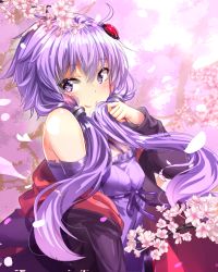 Rule 34 | 1girl, bare shoulders, black jacket, blush, breasts, cherry blossoms, closed mouth, commentary request, dress, fujino (yoshi9798174), hair ornament, hair tubes, highres, jacket, long hair, long sleeves, looking at viewer, low twintails, open clothes, open jacket, petals, purple dress, purple eyes, purple hair, purple ribbon, ribbon, small breasts, smile, solo, spring (season), tree, twintails, upper body, voiceroid, yuzuki yukari
