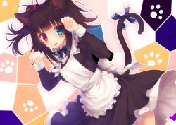 Rule 34 | 1girl, ahoge, animal ears, apron, aqua eyes, black dress, blue ribbon, blush, cat ears, cat girl, cat tail, dress, dutch angle, frilled apron, frills, heterochromia, long sleeves, looking at viewer, maid, mizunoto nozumi, mole, mole under eye, original, parted lips, paw pose, paw print, red eyes, ribbon, smile, solo, tail, tail ornament, tail ribbon, teeth, two side up
