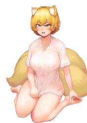 Rule 34 | 1girl, absurdres, alternate costume, animal ear fluff, animal ears, blonde hair, blush, breasts, chanta (ayatakaoisii), covered erect nipples, fox ears, fox tail, full body, hair between eyes, highres, large breasts, looking at viewer, multiple tails, nose, open mouth, see-through, shiny skin, shirt tug, short hair, short sleeves, sidelocks, silver hair, simple background, sitting, slit pupils, soles, solo, sweat, sweatdrop, tail, thighs, toes, touhou, wariza, white background, yakumo ran, yellow eyes